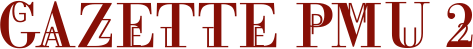 GAZETTEPMU2
