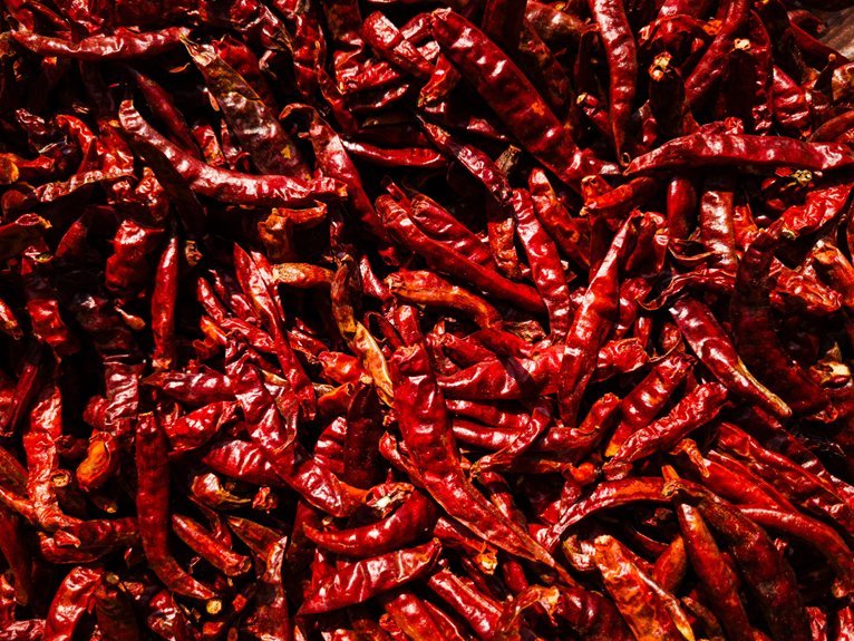the complete guide summary spicy qiokazhaz made simple